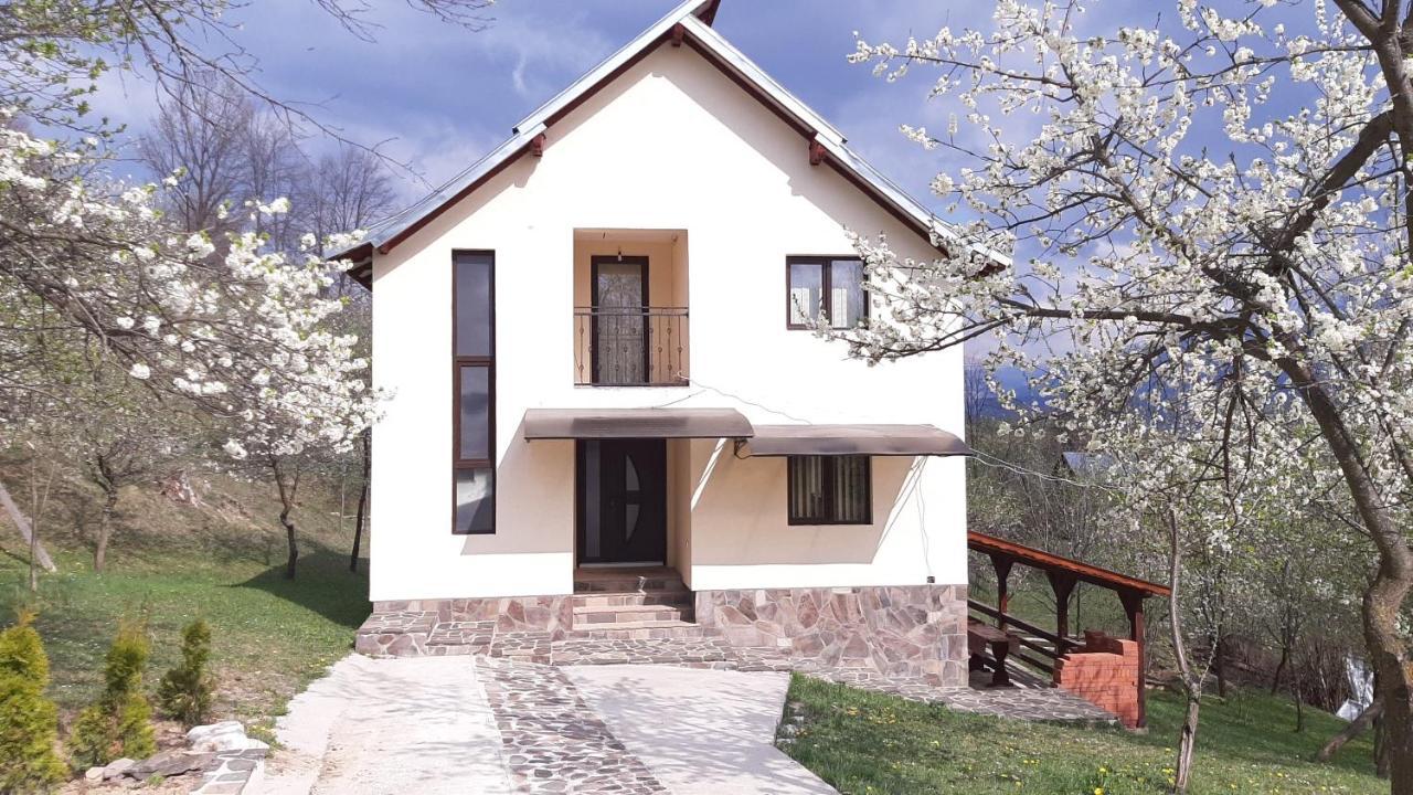 Villa Casa Flutar Moisei Esterno foto