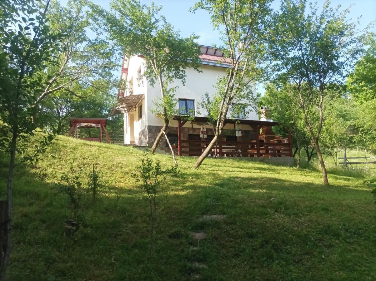 Villa Casa Flutar Moisei Esterno foto