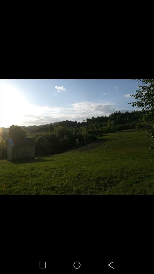 Villa Casa Flutar Moisei Esterno foto